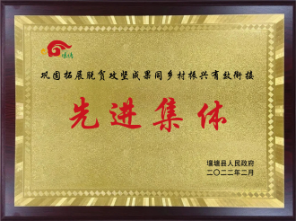 巩固拓展脱贫攻坚成果同乡村振兴有效衔接先进集体